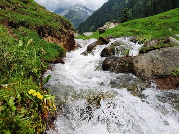 Stream flowing through rocks in forest