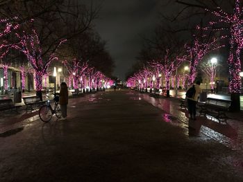 Illuminated street lights at night