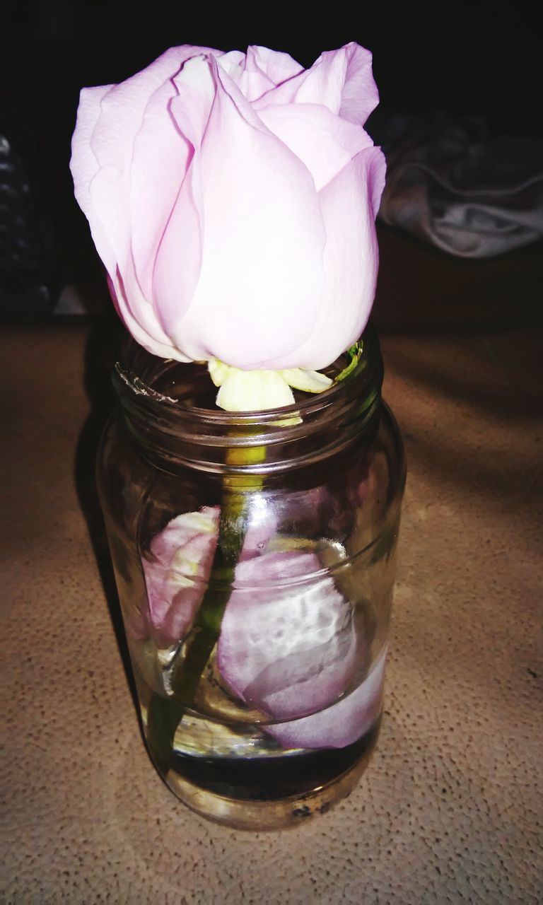 pink color, flower, freshness, table, purple, no people, indoors, close-up, nature, flower head, day