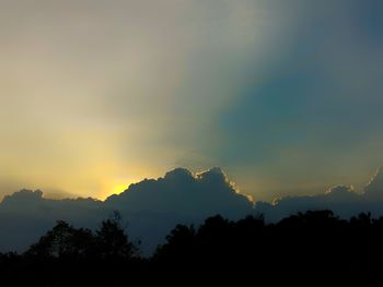 Silhouette trees in forest against sky at sunset