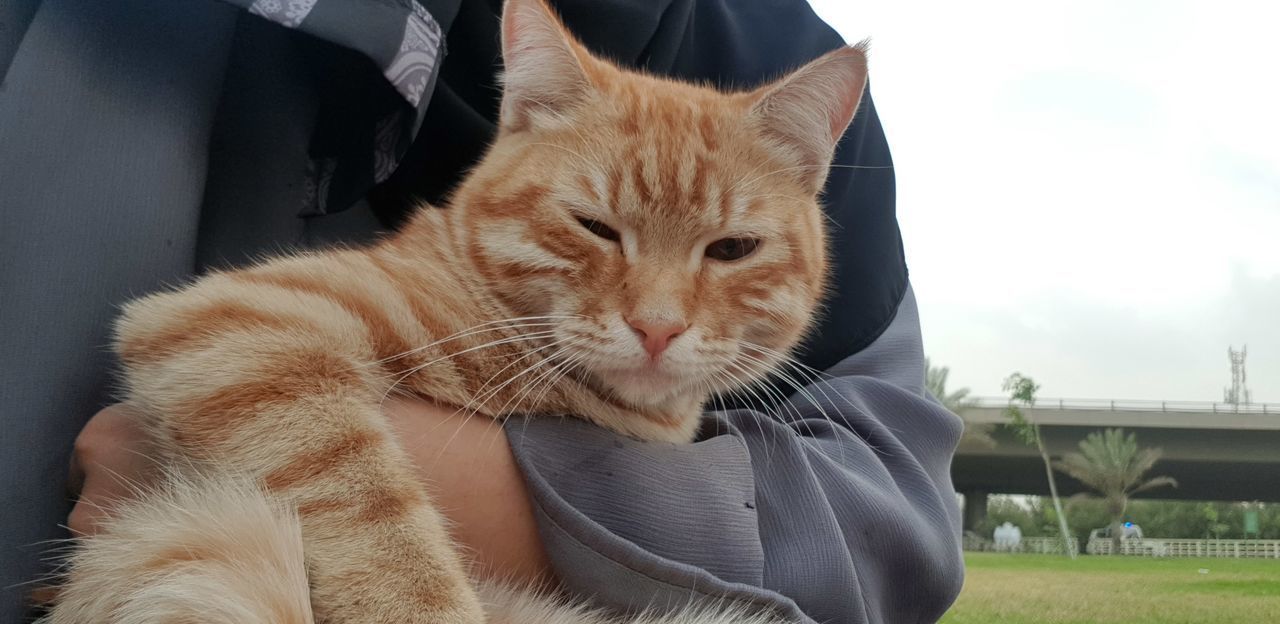 CLOSE-UP OF A CAT ON MAN WITH EYES CLOSED