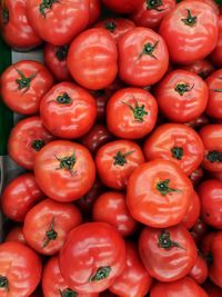 High angle view of tomatoes for sale at market stall