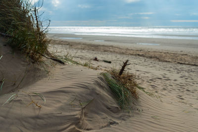 Scenic view of beach against sky