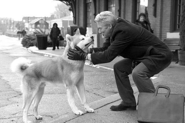 animal themes, domestic animals, mammal, one animal, pets, dog, full length, two animals, street, togetherness, lifestyles, building exterior, men, sitting, leisure activity, incidental people, built structure, rear view