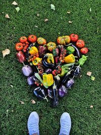Low section of person standing by various vegetables in heart shape on grass