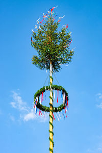 Low angle view of decoration hanging on tree against blue sky