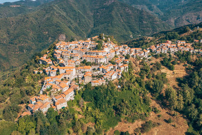 High angle view of townscape and trees