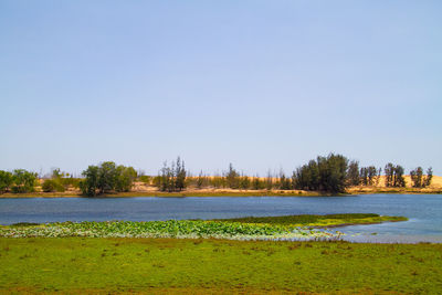 Scenic view of lake against clear sky