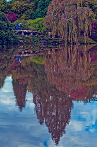 Reflection of tree in lake against sky