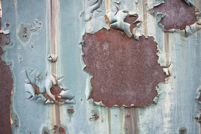 Close-up of rusty metal door