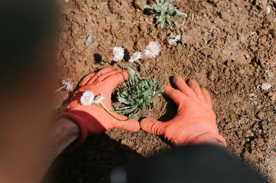 male hands in