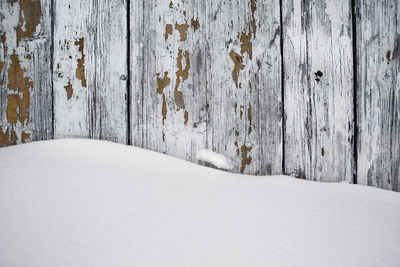 Snow covered wall on wood during winter