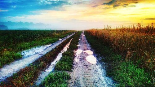 Scenic view of field against sky during sunset