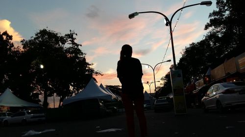 Silhouette of trees at sunset