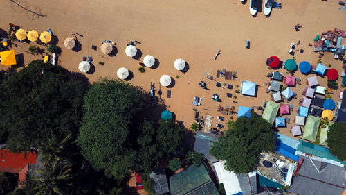 High angle view of people by plants in city