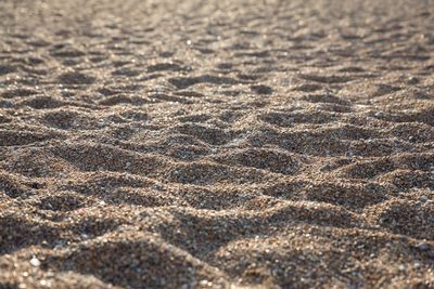 Surface level of beach