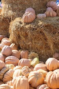 Close-up of pumpkins on hay