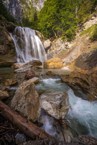 Scenic view of waterfall in forest