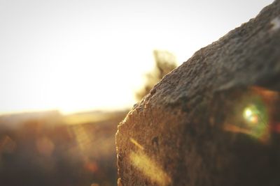 Close-up of water against sky at sunset