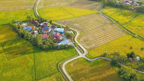 High angle view of agricultural field