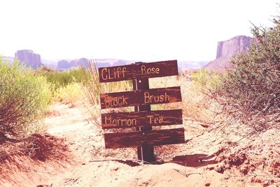 Plants growing on tree