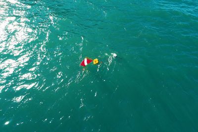 High angle view of people swimming in sea