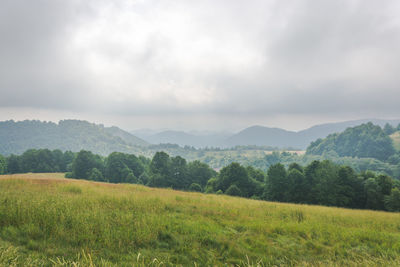 Scenic view of field against sky