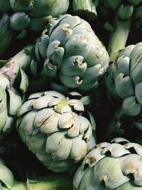Close-up of artichokes for sale at market stall