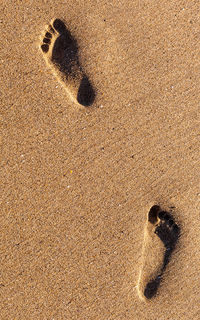 High angle view of footprints on sandy beach