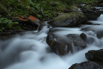 Stream flowing through rocks in forest