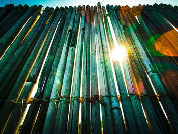 Low angle view of sunlight streaming through trees