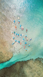 Aerial view of sailboats moored in sea