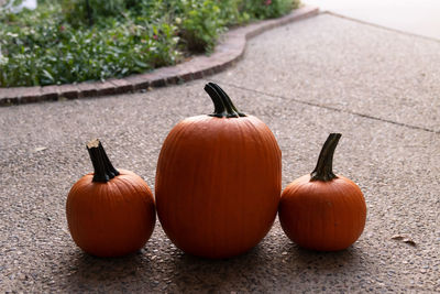 Close-up of pumpkins on table during autumn