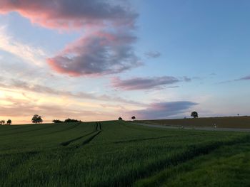 Scenic view of agricultural field against sky during sunset