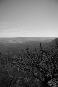 Scenic view of landscape against clear sky