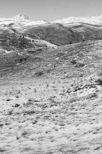 View of snowy landscape