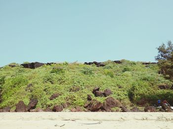 Scenic view of landscape against clear sky