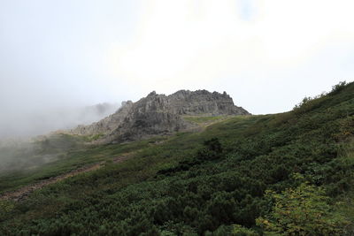 Landscape with mountain range in background