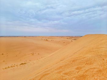 Sahara desert of algeria