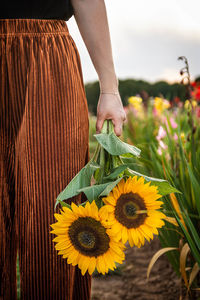 Low angle view of woman hand holding yellow flower