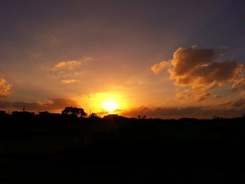 Silhouette of trees at sunset