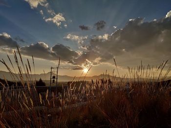 Scenic view of field against sky during sunset