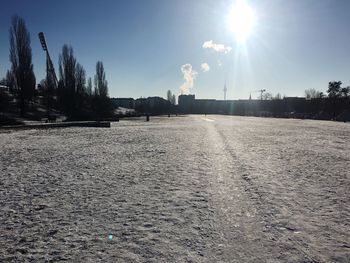 Panoramic shot of trees against sky