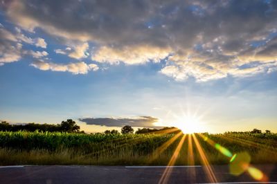 Road amidst field against sky during sunset