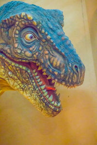 Close-up of a lizard