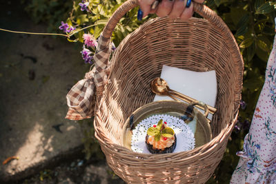 Close-up of flowering plants in basket