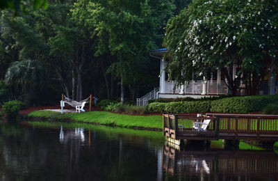 Scenic view of lake with trees in background