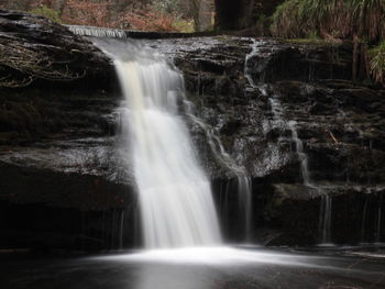 Scenic view of waterfall in forest