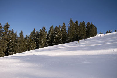 Trees on snow covered landscape against clear sky