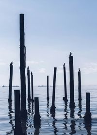 Silhouette wooden posts in sea against sky